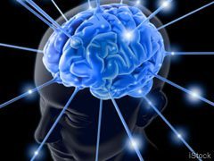 YOUR-BRAIN-IS-PRESET-TO-LEARN-A-LANGUAGE-IN-10-DAYS--fort-lauderdale-web-design