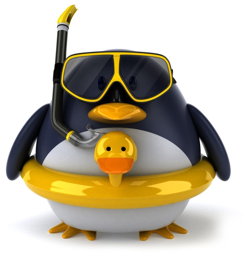 Google launches new update: Penguin 2.0