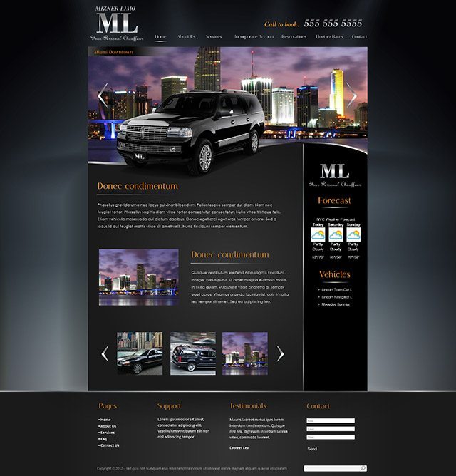 Limo Service Website Design