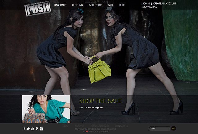 Fashion Shopping Cart Website Design